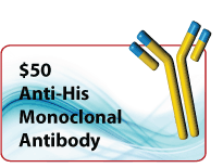 LifeTein antibody promotion $50 anti-GST antibody antibody promotion anti GST antibody