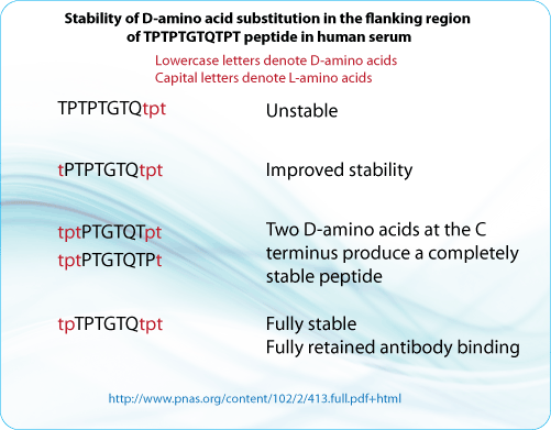 Peptide synthesis: D amino acid peptide for its stability Peptide synthesis: D amino acid peptide