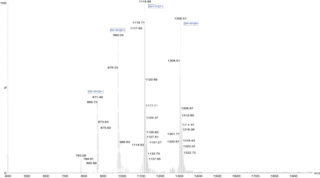 Peptide synthesis: FITC modification MS Peptide synthesis: FITC modification MS